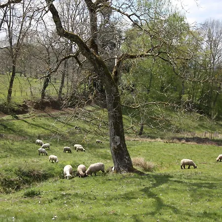 Pour 4 Avec Terrasse Couverte, Parking Prive Et Animaux Acceptes - Fr-1-589-367 Semesterbostad Combrimont