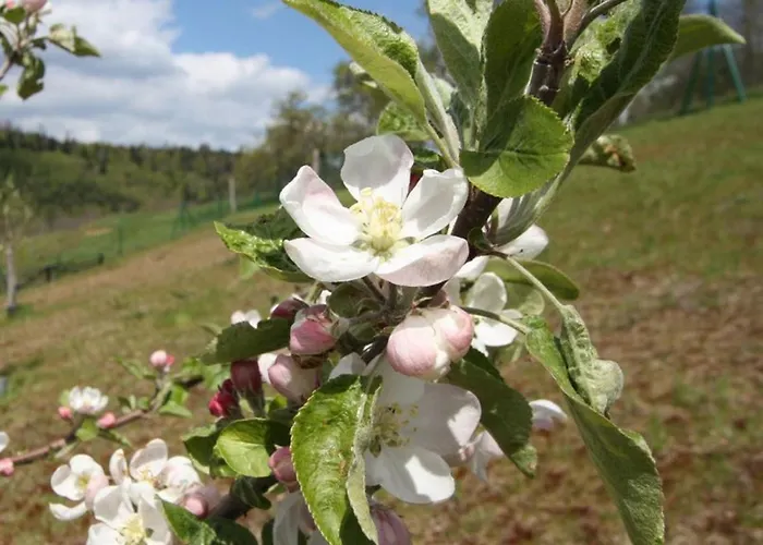 Pour 4 Avec Terrasse Couverte, Parking Prive Et Animaux Acceptes - Fr-1-589-367 度假居