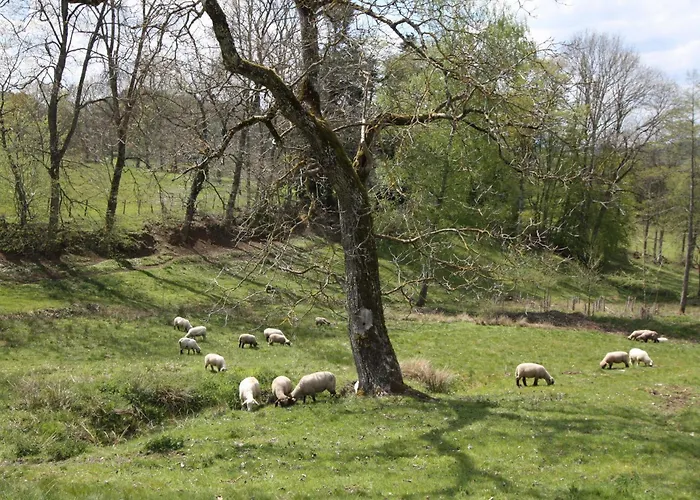 Pour 4 Avec Terrasse Couverte, Parking Prive Et Animaux Acceptes - Fr-1-589-367 度假居 Combrimont